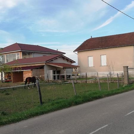 Maison De 100M2 Au Coeur D'Une Pension Equestre Les Sabots De Nina Marcollin Extérieur photo